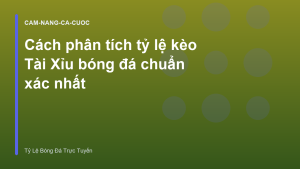 Read more about the article Cách phân tích tỷ lệ kèo Tài Xỉu bóng đá chuẩn xác nhất